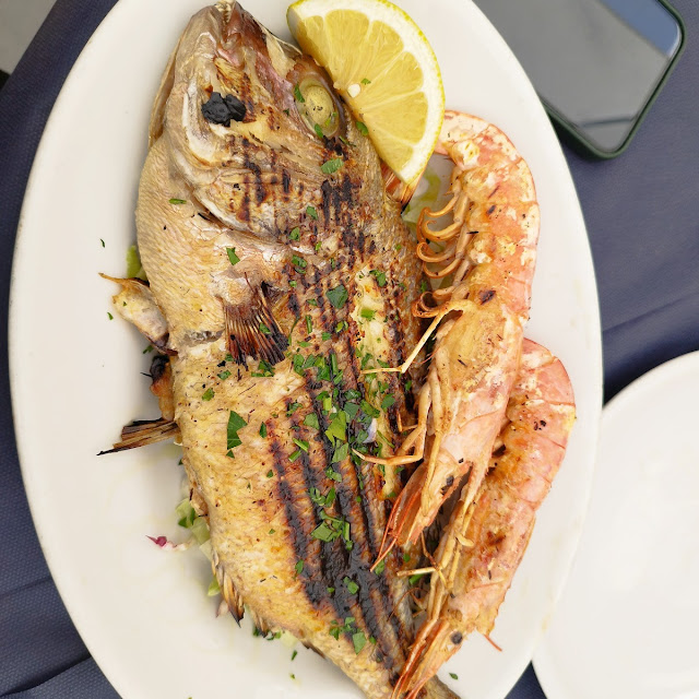 Fish of the Day