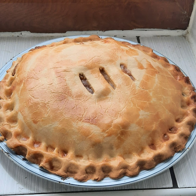 Meat & Potato Plate Pie