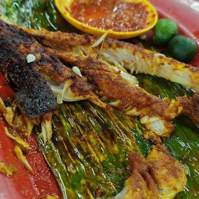 Curry Fish Head