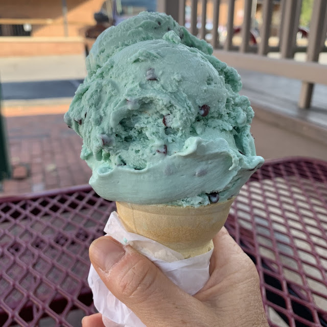 Mint Chocolate Chip Ice Cream