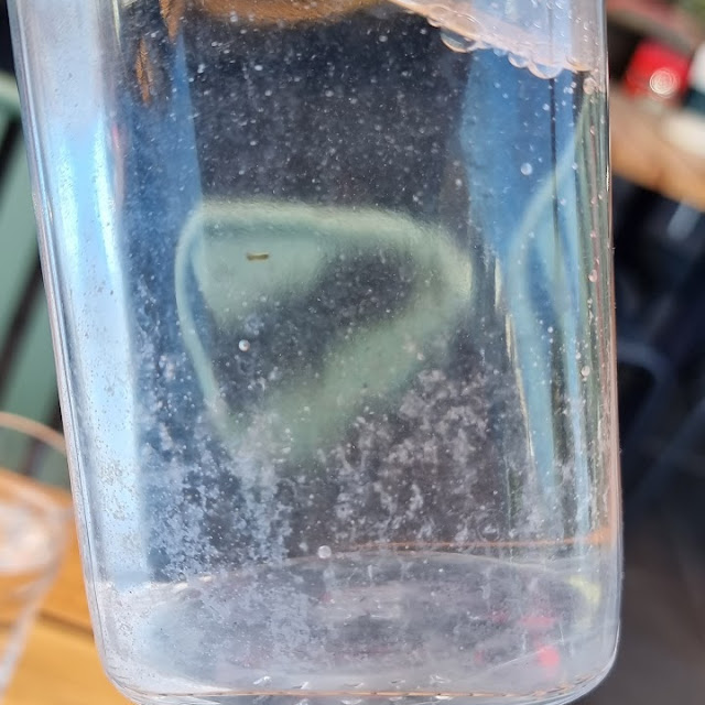 Table Water