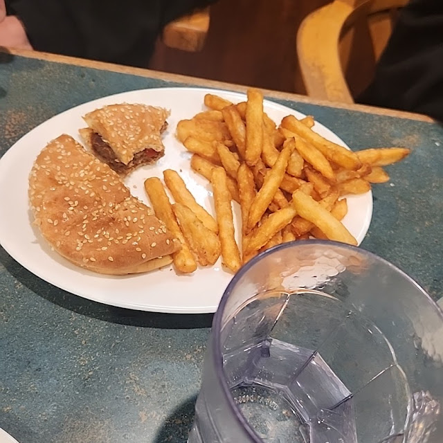 Plain Burger and Fries
