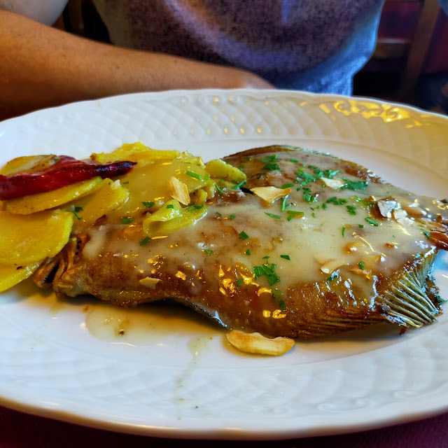 Rodaballo