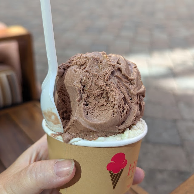 Turtle Ice Cream
