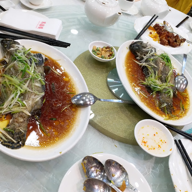 Steamed Garoupa with Glass Noodles
