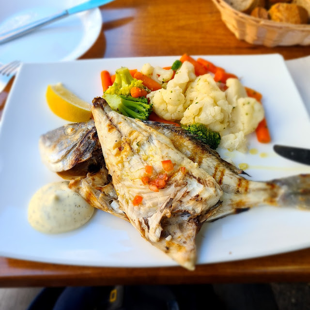 Dorade