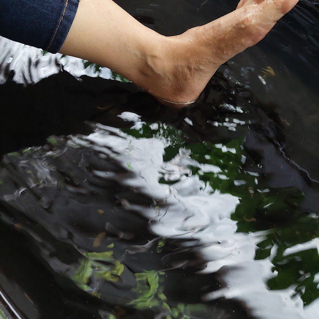 Kolam Terapi Ikan