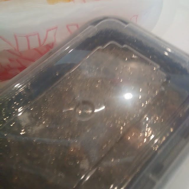 Ghormeh Sabzi