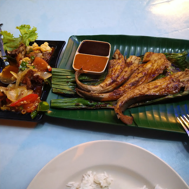 Ikan Pari Pakar