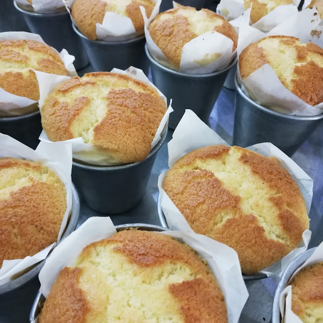 Honey Cheese Cake