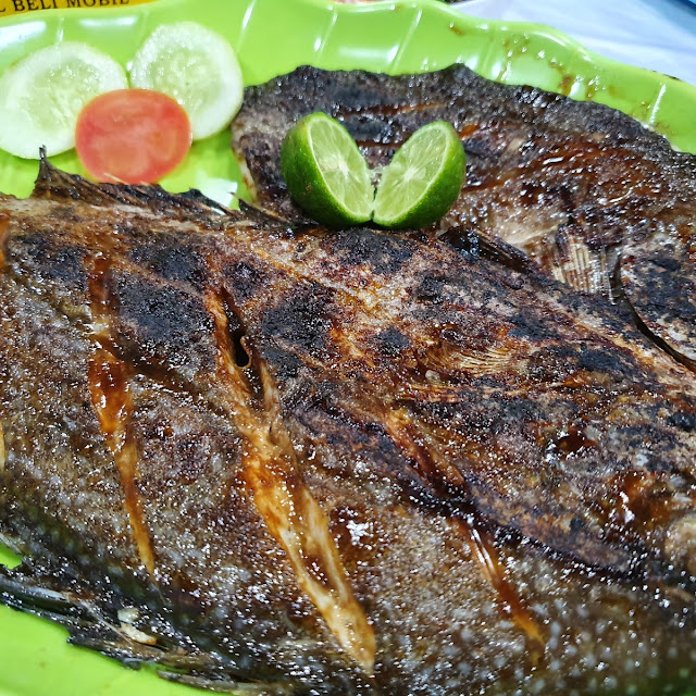 Ikan Baronang Bakar