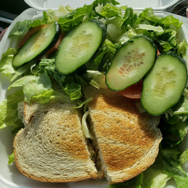 Tuna Sandwich with Garden Salad