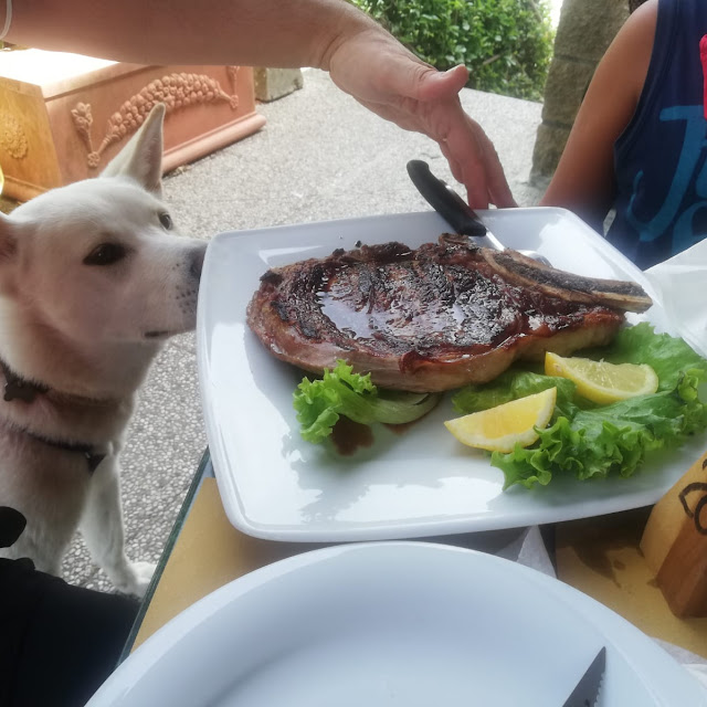 Fiorentina Di Chianina
