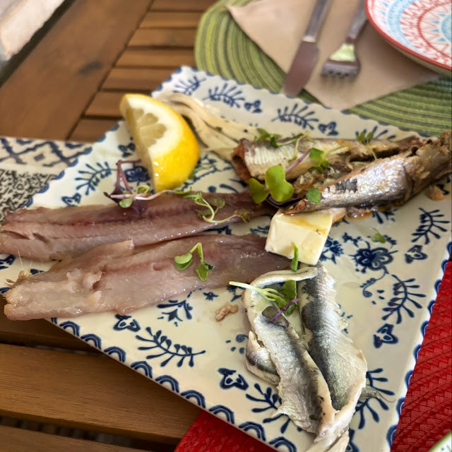 Tasting Sardines