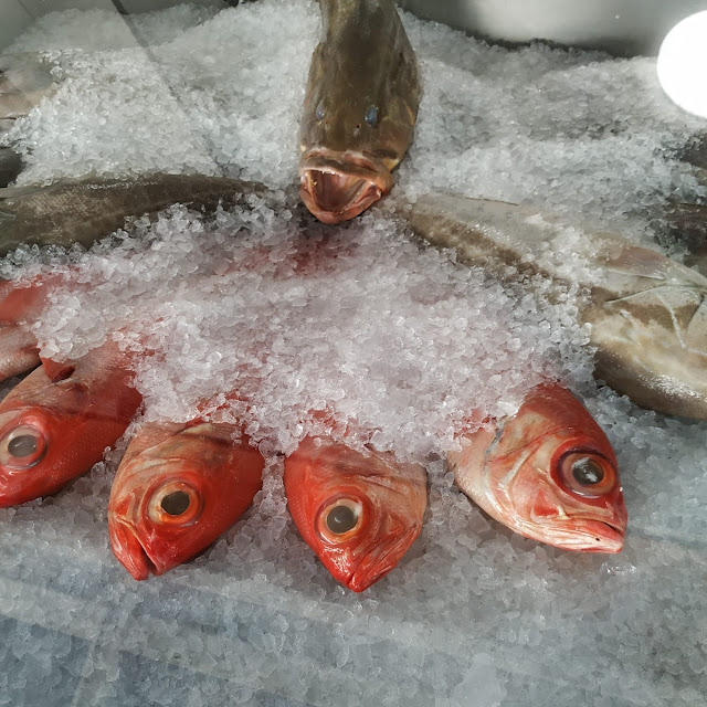 Fresh Fish of the Day