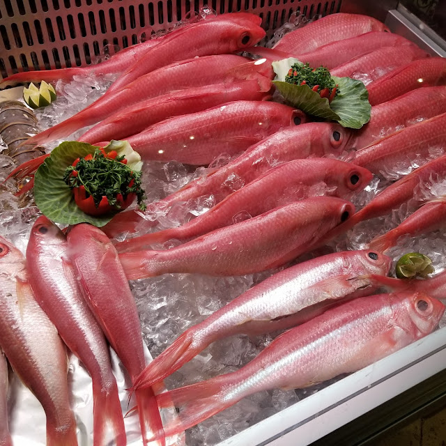 Fresh Snapper to Choose