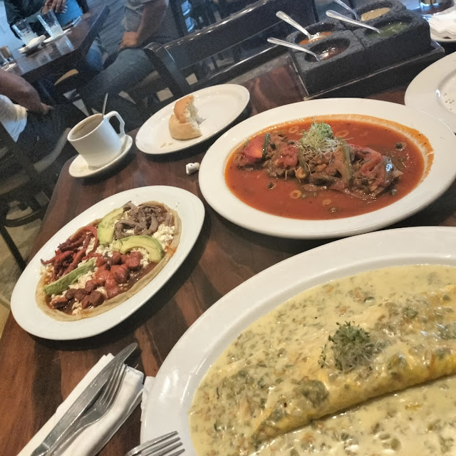 Lengua de Ala Veracruzana