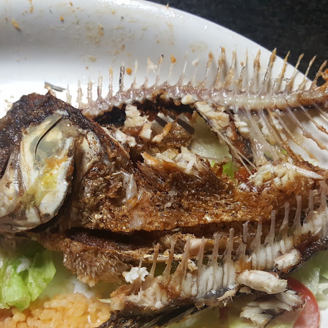 Mojarra Frita