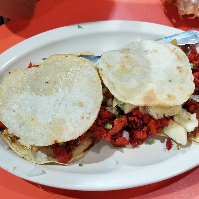 Gringa de Pastor