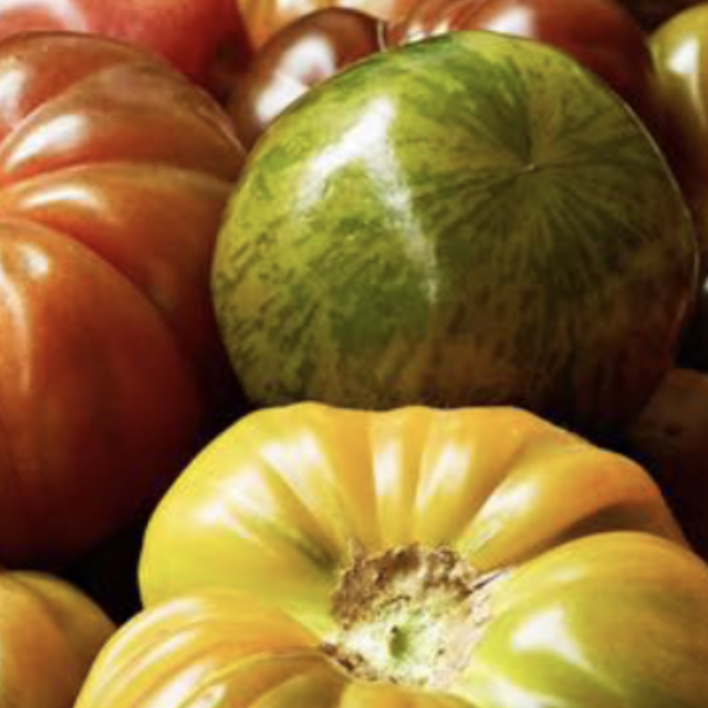 Tomato