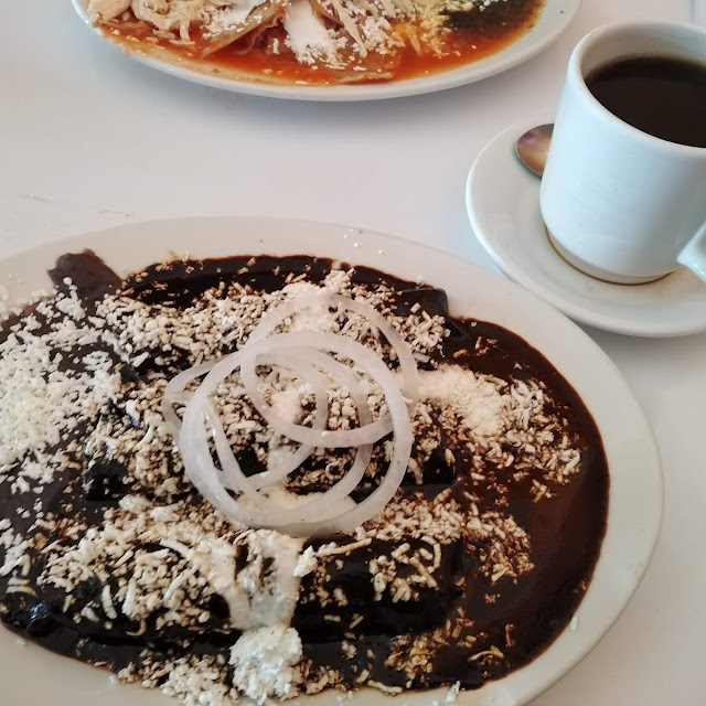 Costilla Con Enchiladas de Mole