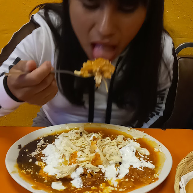 Chilaquiles Con Pollo