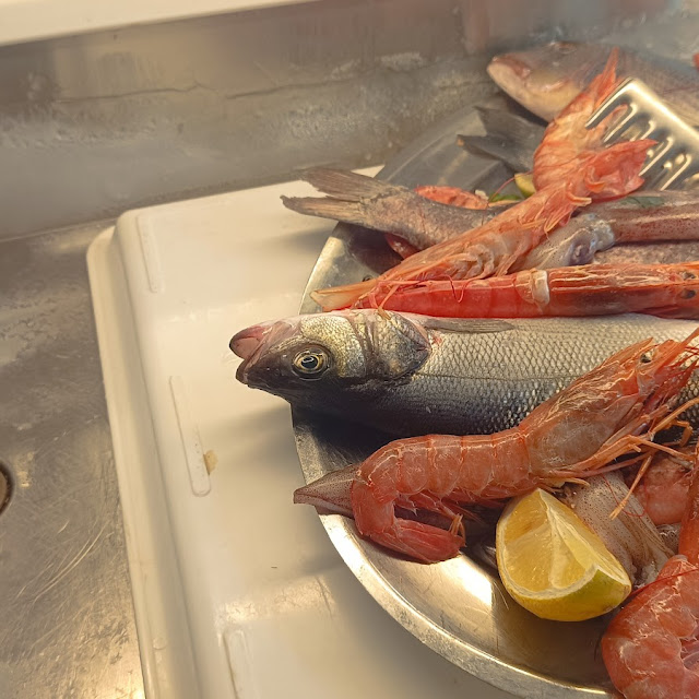 Pesce Fresco