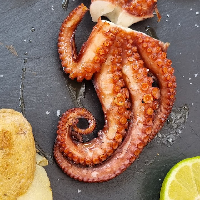 Grilled Squid