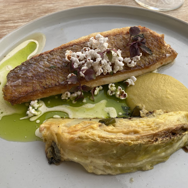 Goldband Snapper