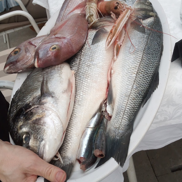 Pesce