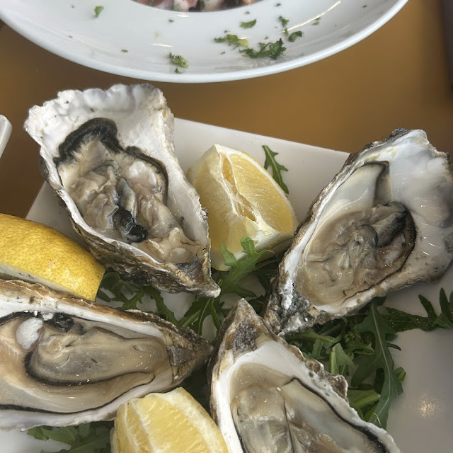 Oysters