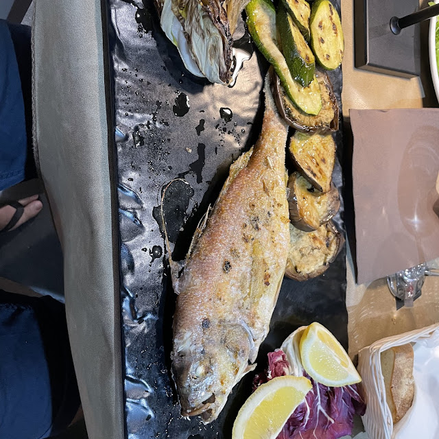 Fish of the Day
