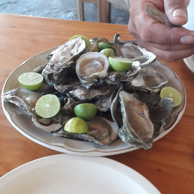 Ostiones En Su Concha