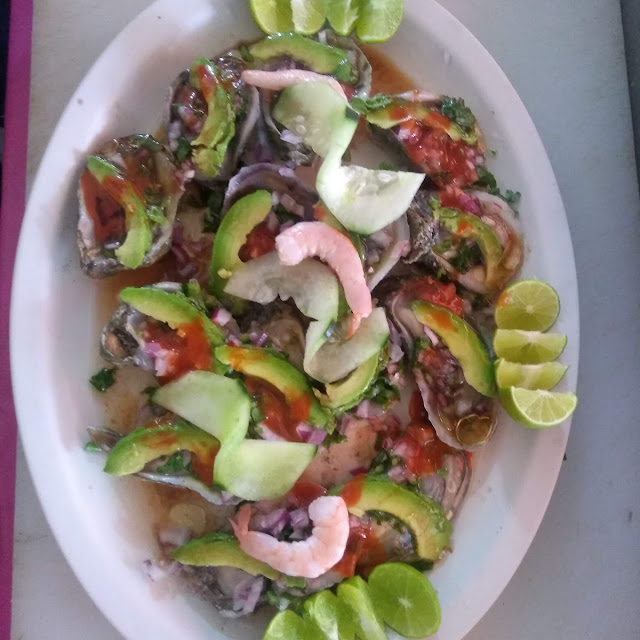 Ostiones En Su Concha Preparados