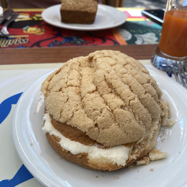Concha Con Nata