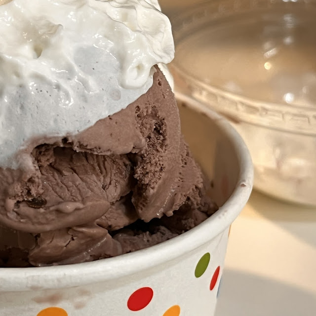 Dishes Ice Cream