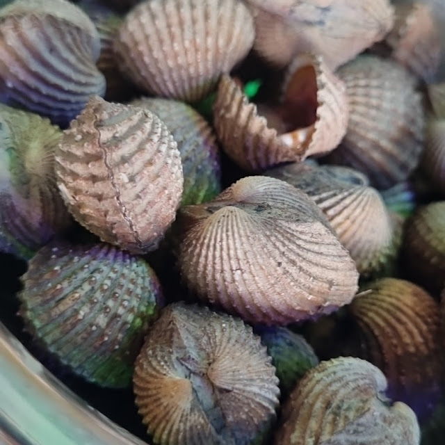 Mussels