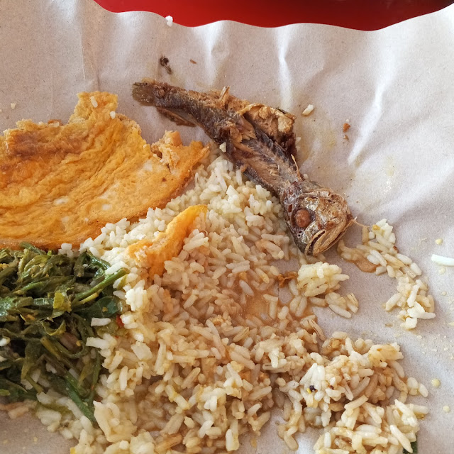 Nasi Putih Lauk Ikan Goreng Telur Dadar Sayur