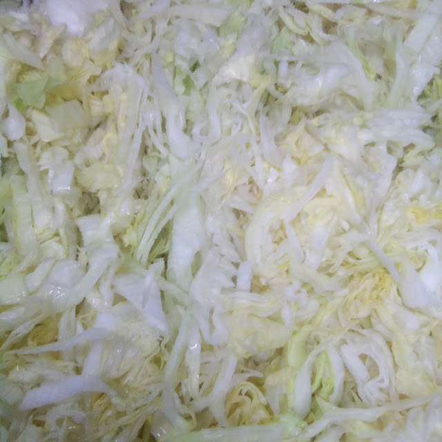Lechuga Cortada Diariamente Para Usted