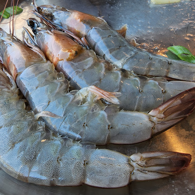 Shrimp