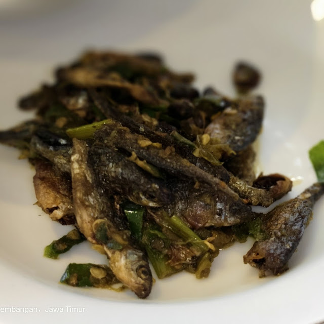 Teri Balado