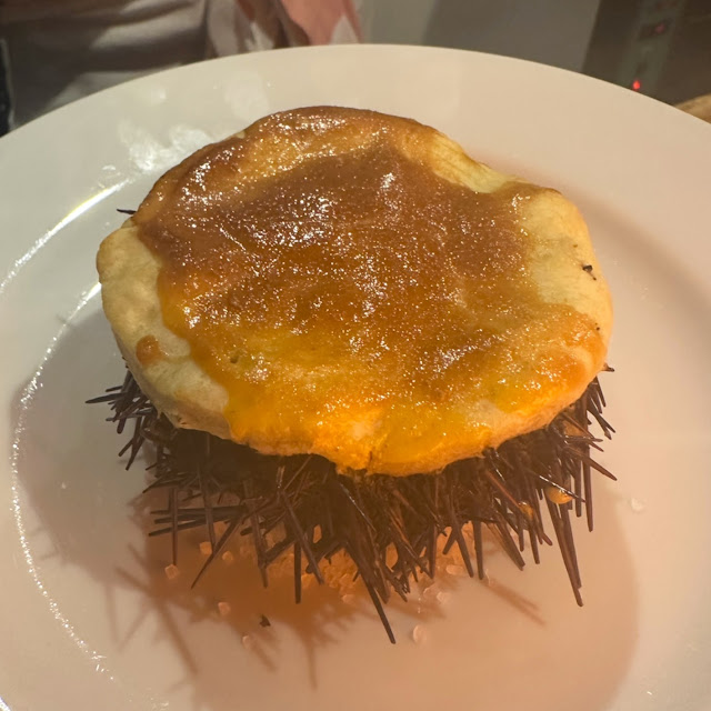 Sea Urchin