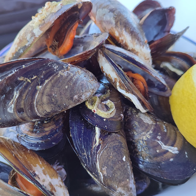 Mejillones Al Vapor