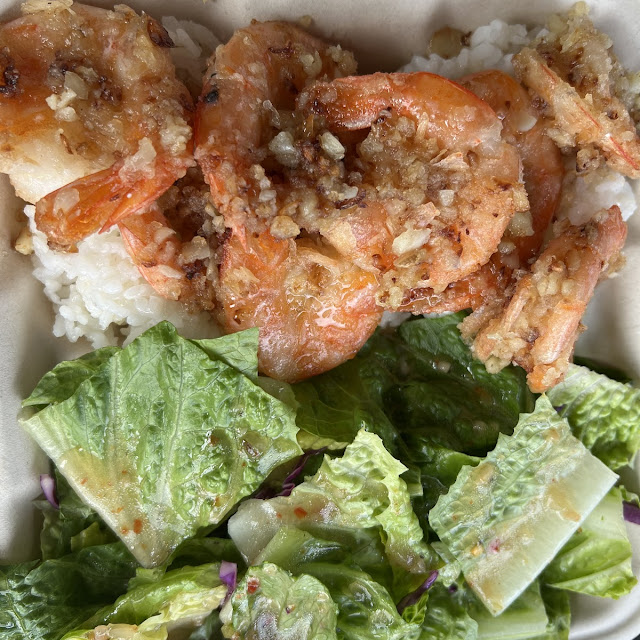 Garlic Shrimp with Rice Salad