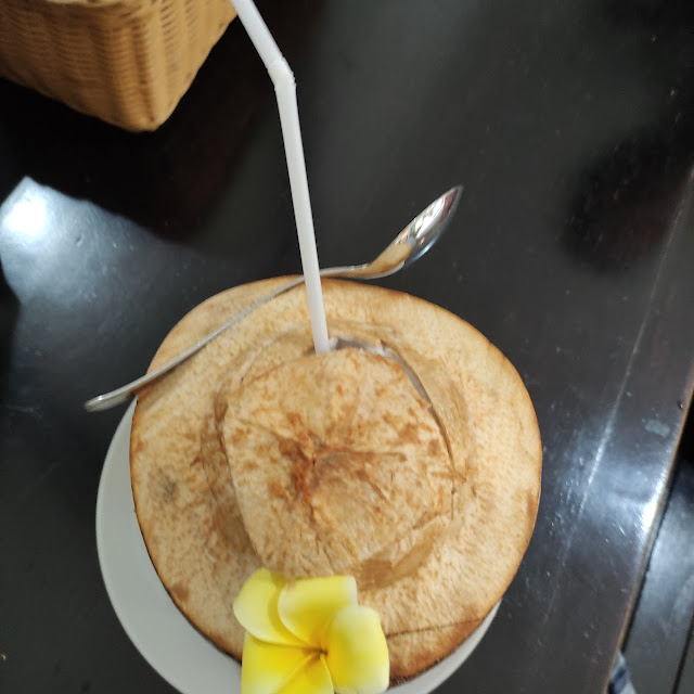Kelapa Muda