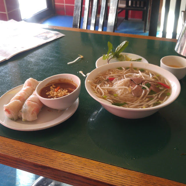 Rare Beef Pho and Fresh Spring Rolls