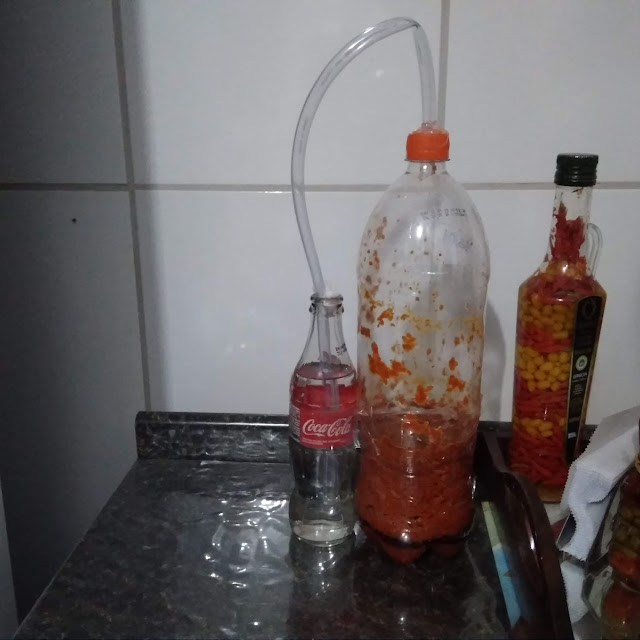 Pimenta Em Fermentação