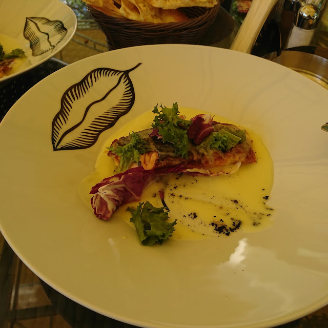 Grilled Salmon with Cheese Sauce