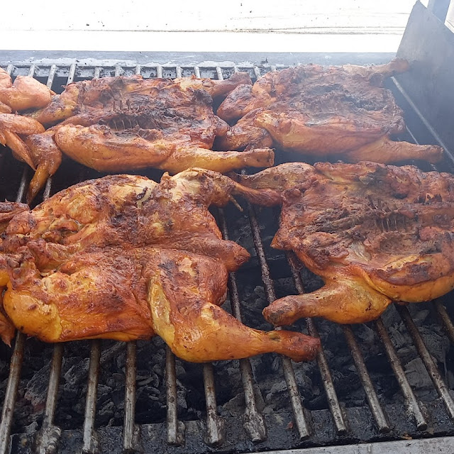 Pollito
