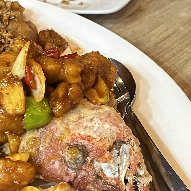 Red Snapper